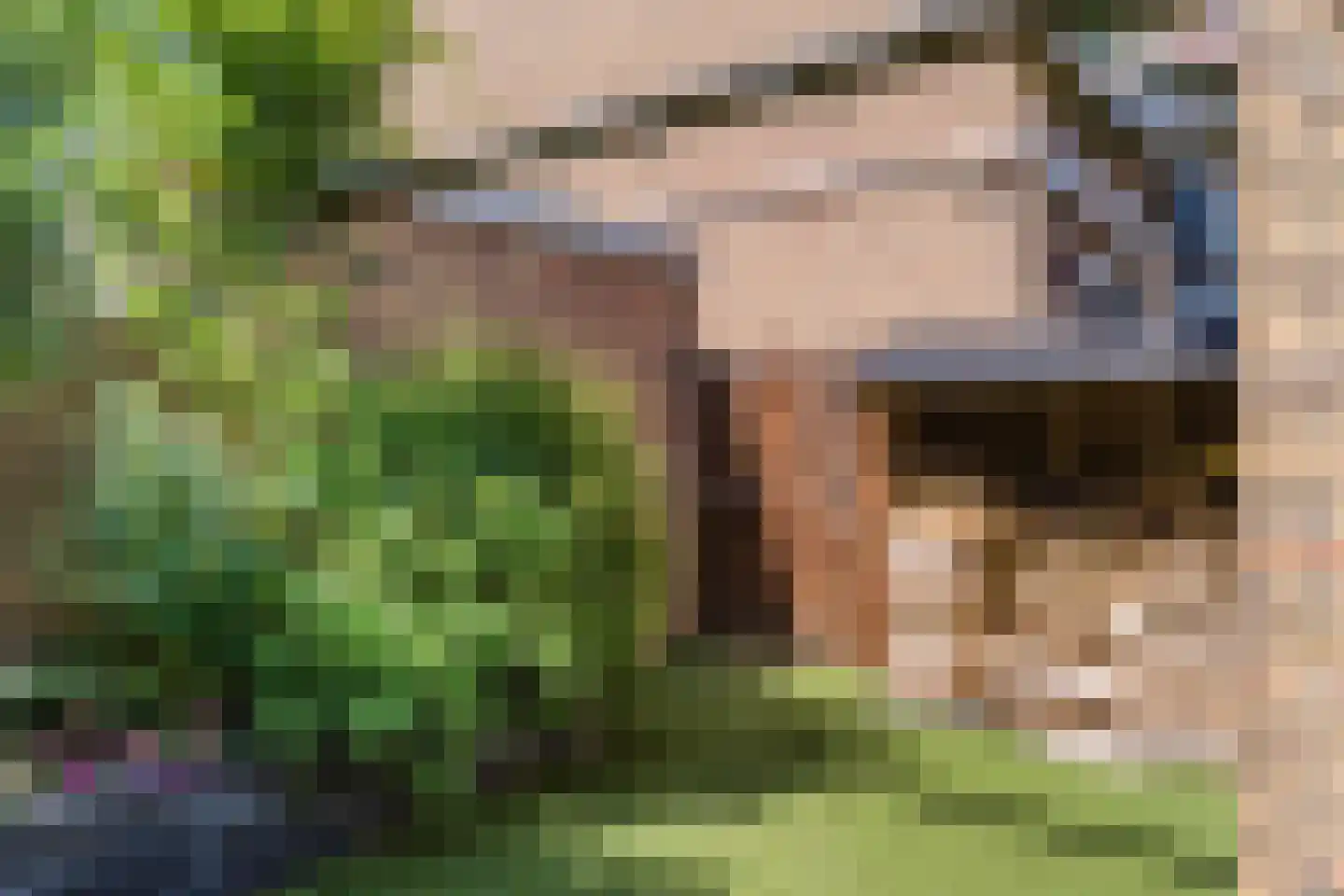 Ruimtevaartlaan 29 Krommenie thumbnail 48