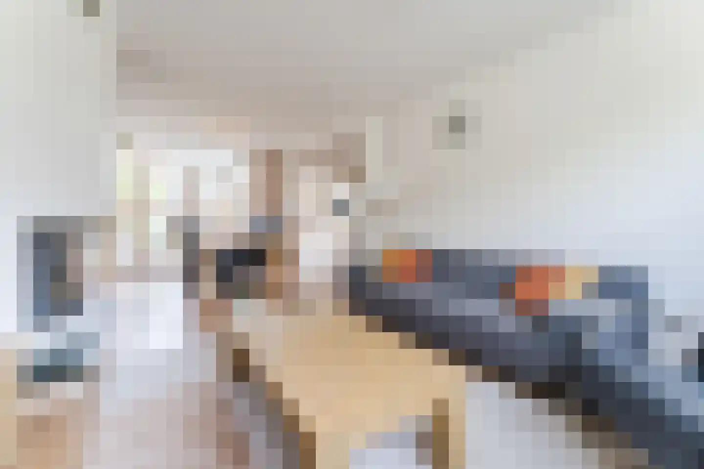 Ruimtevaartlaan 29 Krommenie thumbnail 8