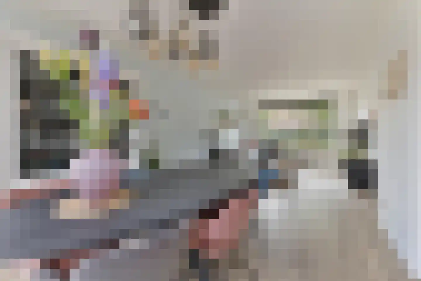 Ruimtevaartlaan 36 Krommenie thumbnail 15