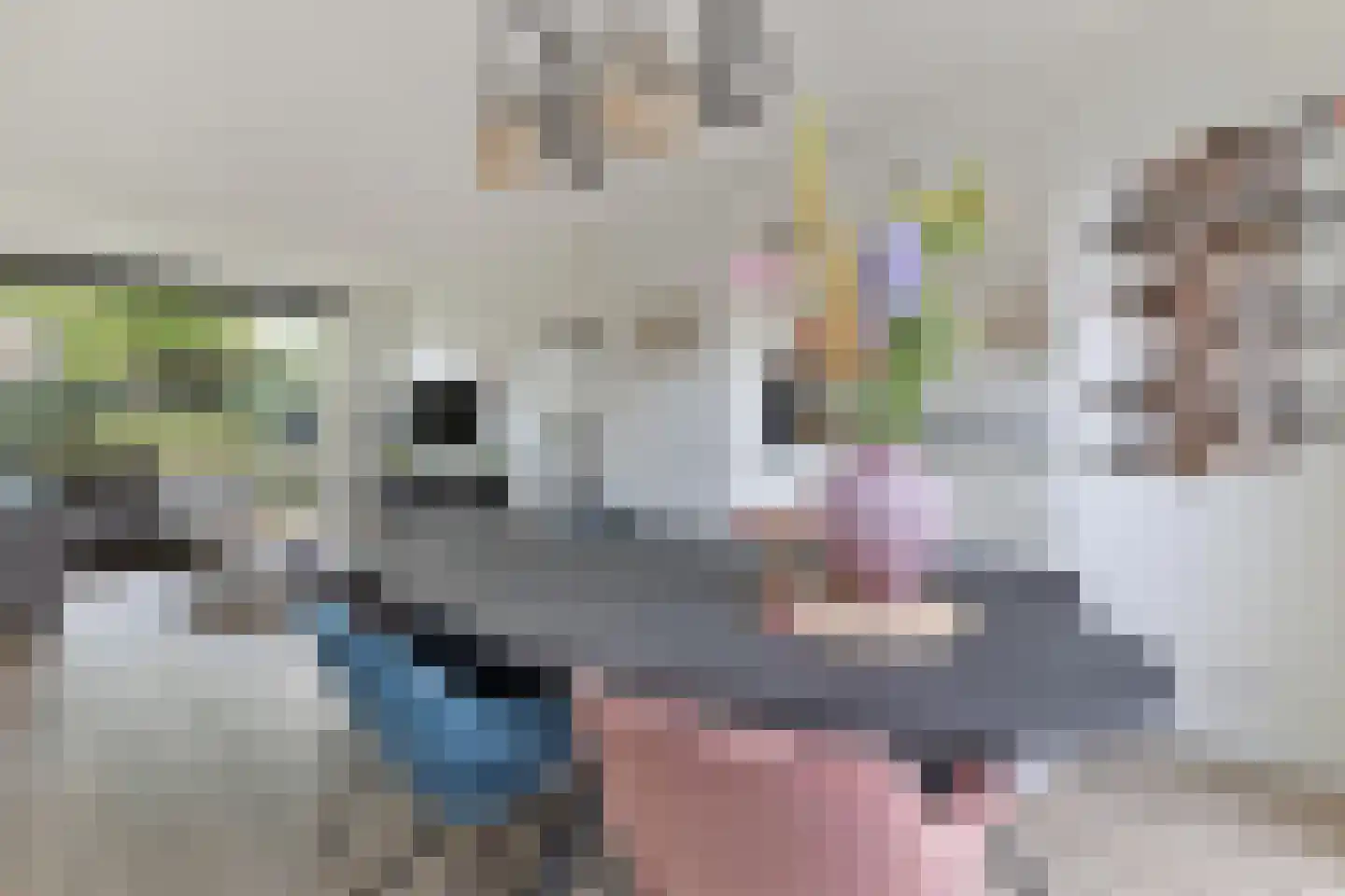 Ruimtevaartlaan 36 Krommenie thumbnail 16