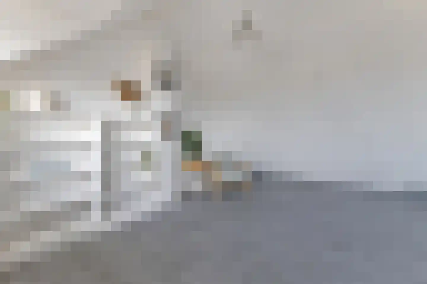 Ruimtevaartlaan 36 Krommenie thumbnail 37