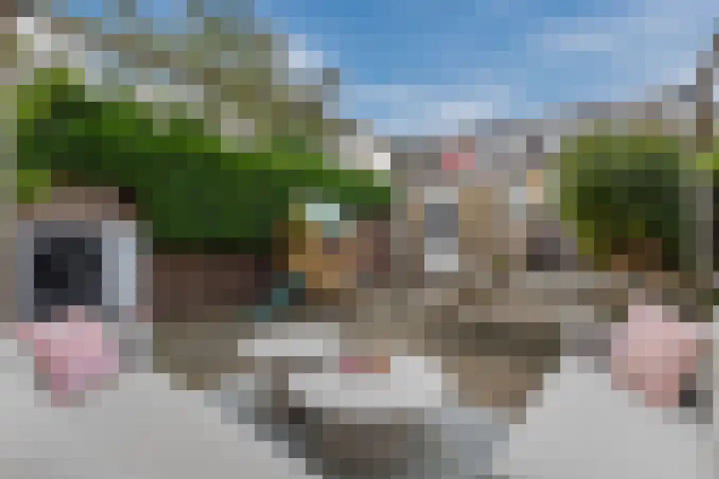 Ruimtevaartlaan 36 Krommenie thumbnail 41