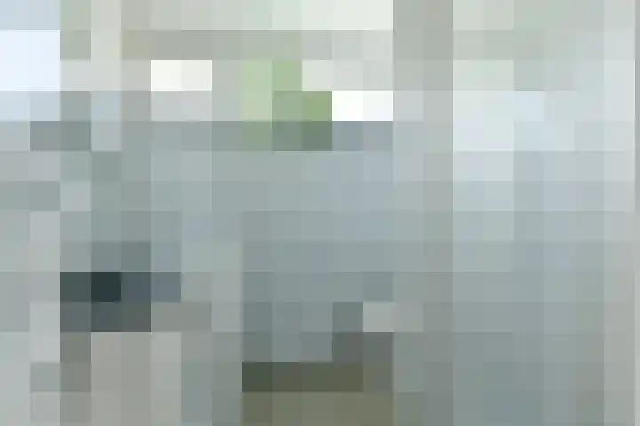 Ruimtevaartlaan 42 Krommenie thumbnail 11