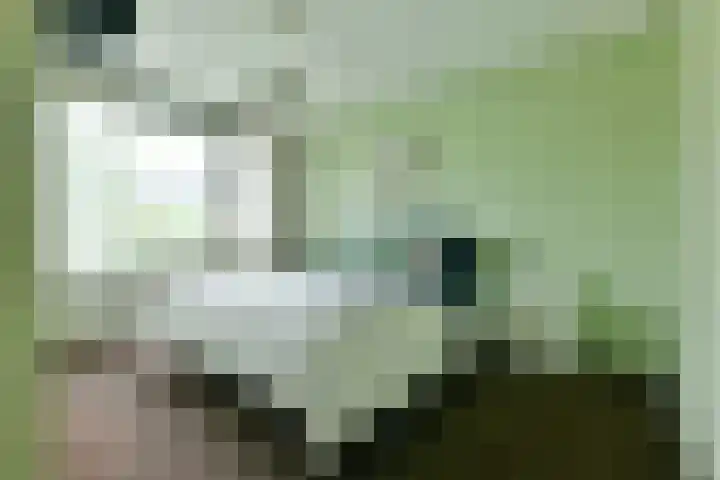 Ruimtevaartlaan 42 Krommenie thumbnail 12