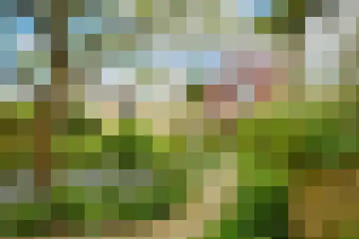 Ruimtevaartlaan 42 Krommenie thumbnail 17