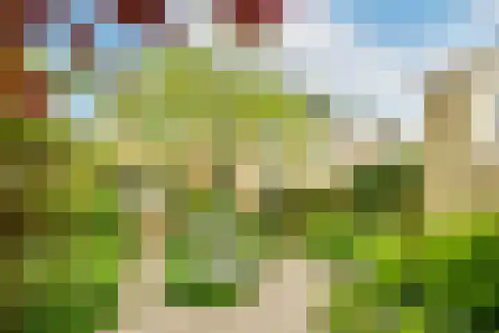 Ruimtevaartlaan 42 Krommenie thumbnail 19