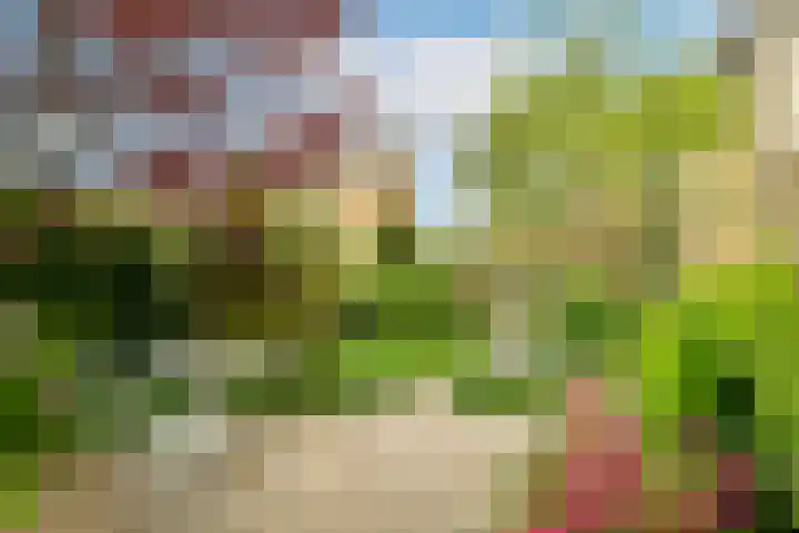 Ruimtevaartlaan 42 Krommenie foto 2