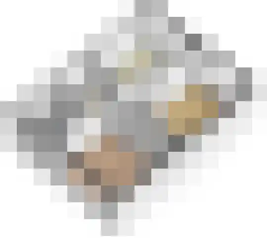 Ruimtevaartlaan 42 Krommenie thumbnail 24