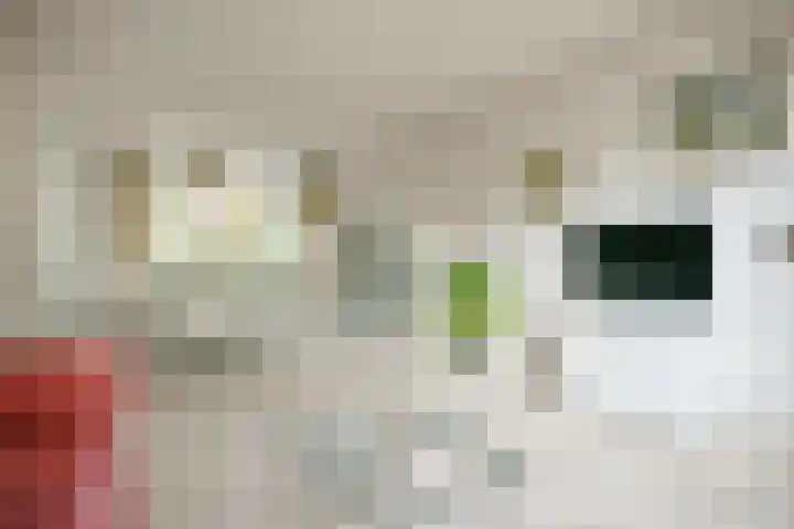 Ruimtevaartlaan 42 Krommenie thumbnail 5