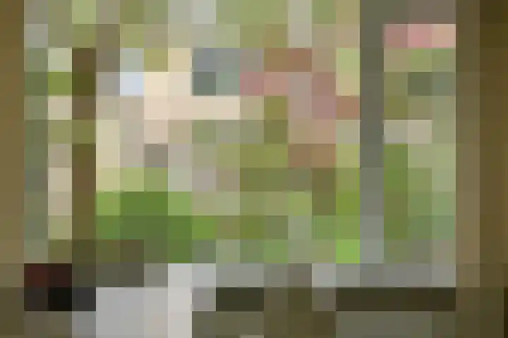 Ruimtevaartlaan 42 Krommenie thumbnail 7
