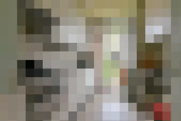 Ruimtevaartlaan 42 Krommenie thumbnail 8