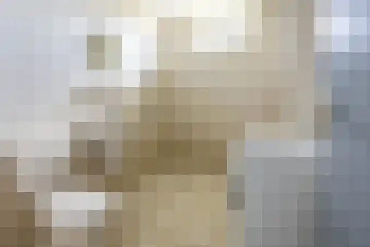 Ruimtevaartlaan 48 Hoogezand thumbnail 25