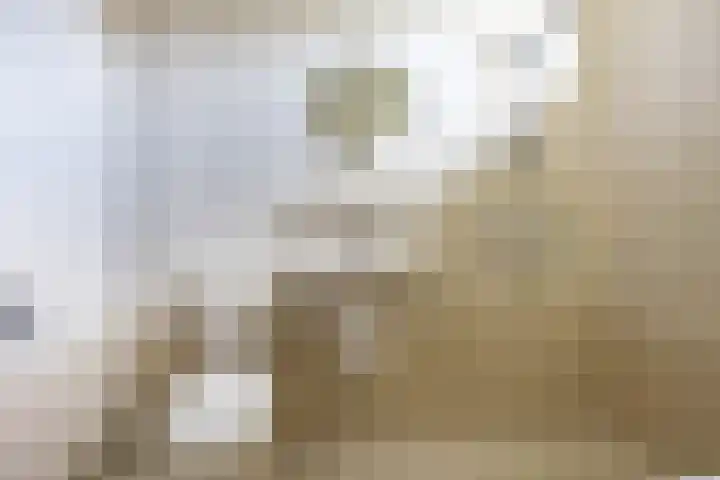 Ruimtevaartlaan 48 Hoogezand thumbnail 26