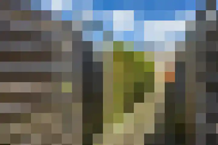 Ruimtevaartlaan 48 Hoogezand thumbnail 36
