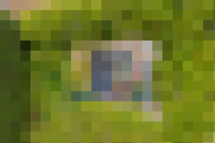 Ruimtevaartlaan 54 Krommenie thumbnail 10