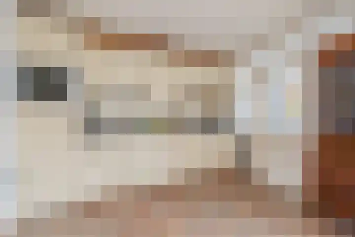 Ruimtevaartlaan 54 Krommenie thumbnail 19