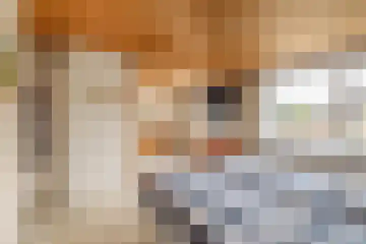 Ruimtevaartlaan 54 Krommenie thumbnail 28
