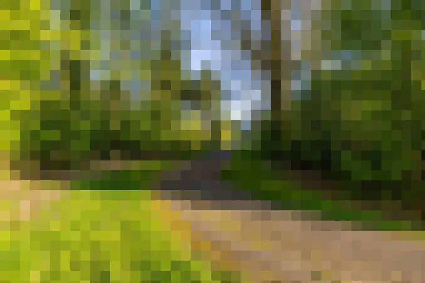 Ruimtevaartlaan 66 Hoogezand thumbnail 34