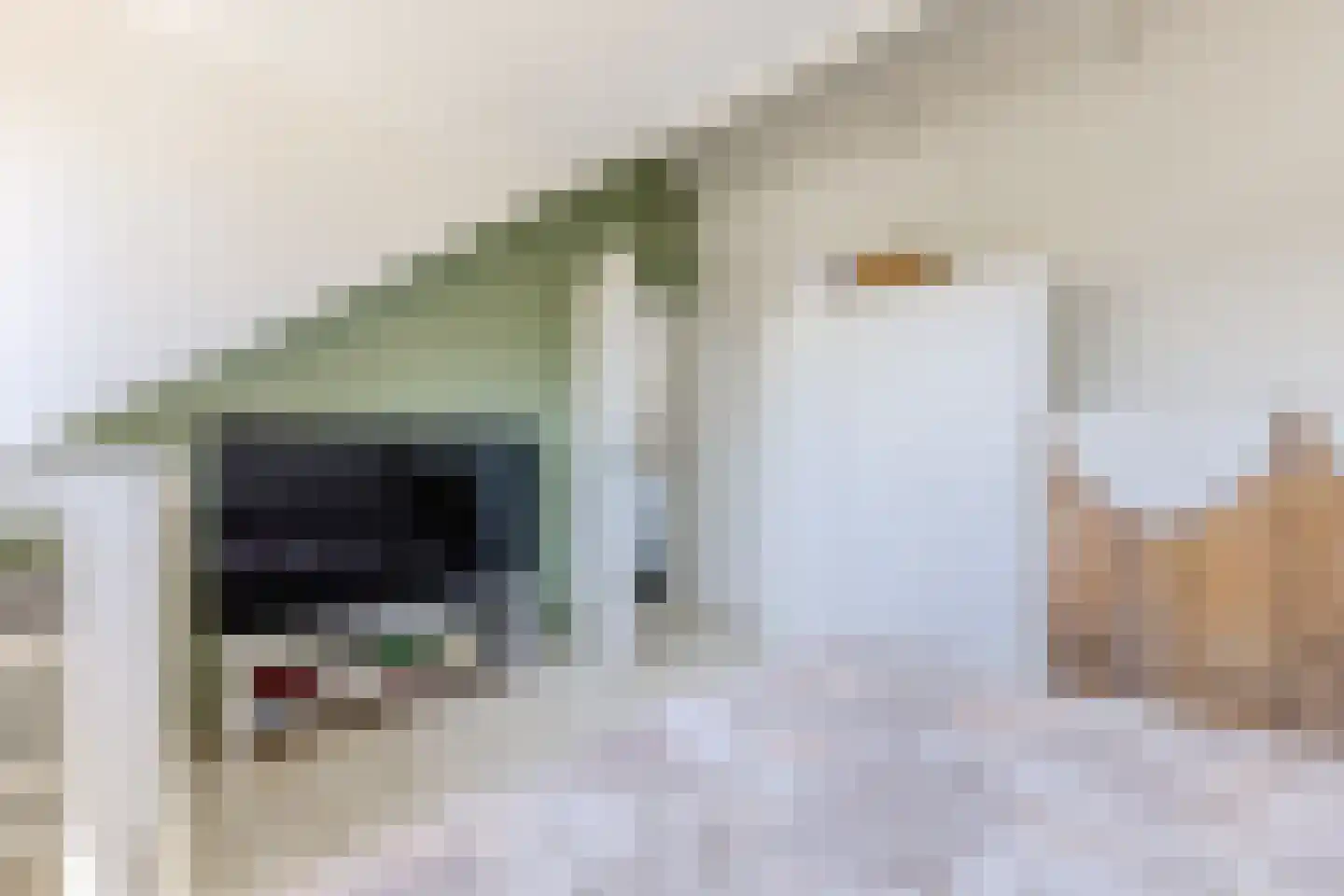 Ruimtevaartlaan 67 Krommenie thumbnail 22