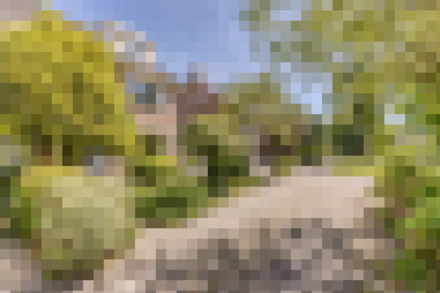 Ruimtevaartlaan 67 Krommenie thumbnail 30