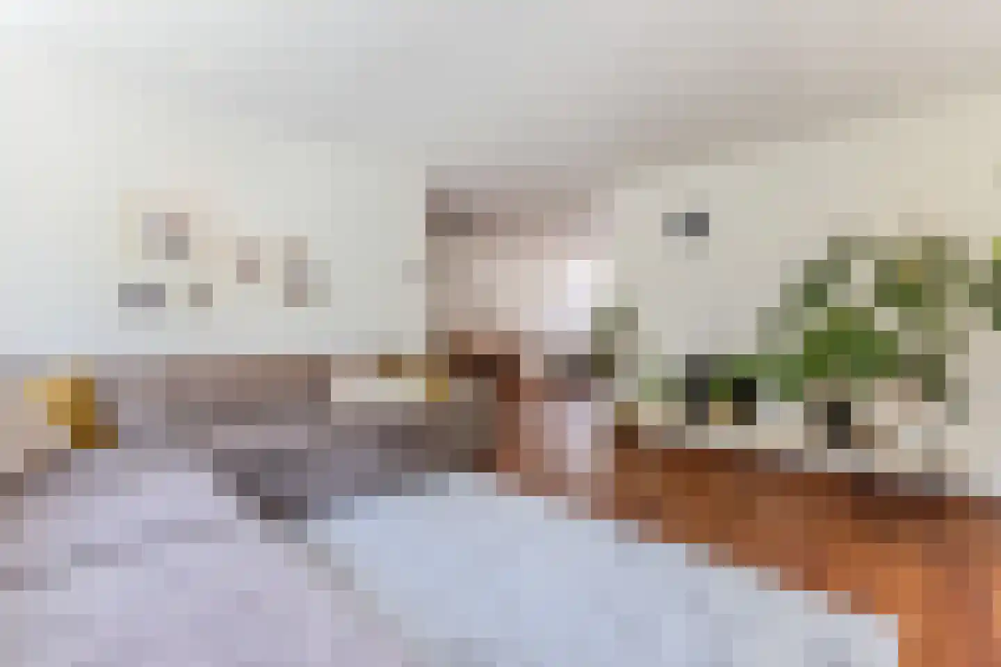 Ruimtevaartlaan 67 Krommenie thumbnail 5