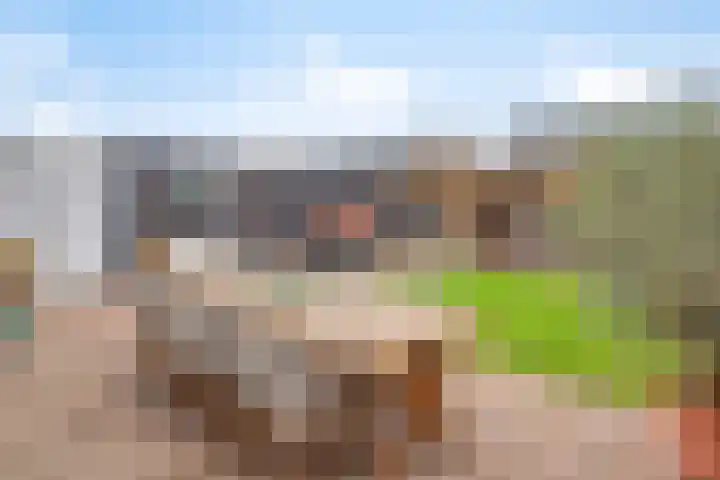 Ruimtevaartstraat 12 Loon op Zand thumbnail 28