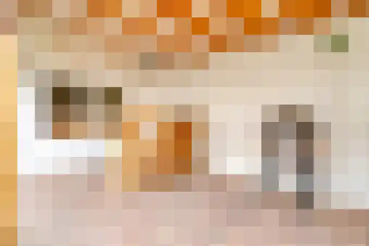 Ruimtevaartstraat 12 Loon op Zand thumbnail 32