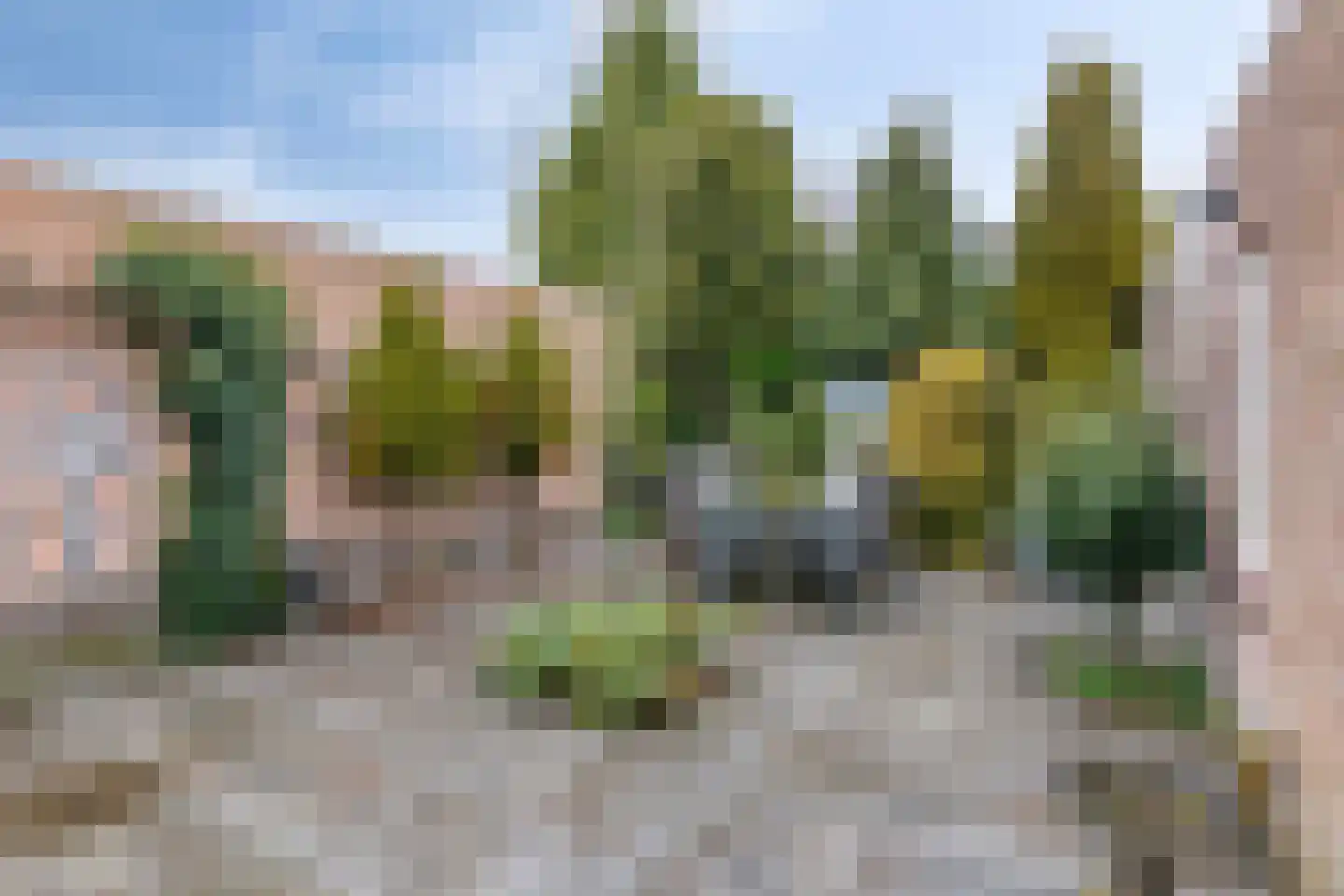 Ruimtevaartstraat 21 Loon op Zand thumbnail 23