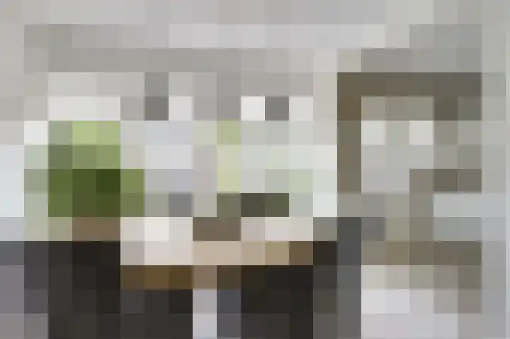 Ruimtevaartstraat 27 Dirkshorn thumbnail 8