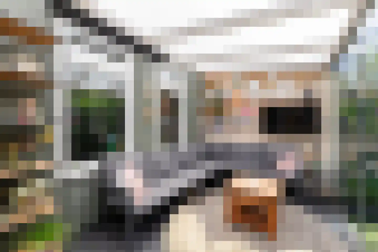 Ruimtevaartstraat 34 D Dirkshorn thumbnail 14