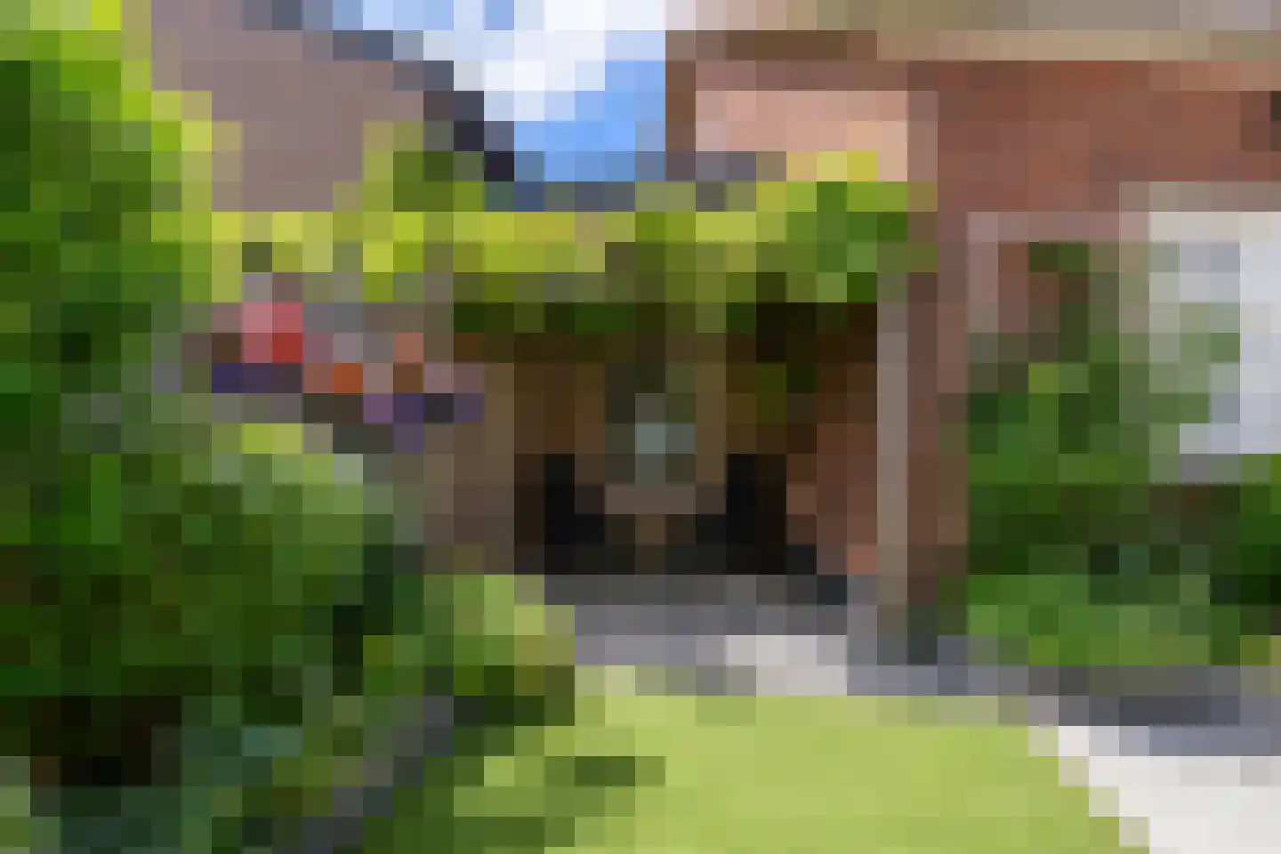Ruimtevaartstraat 34 D Dirkshorn thumbnail 39