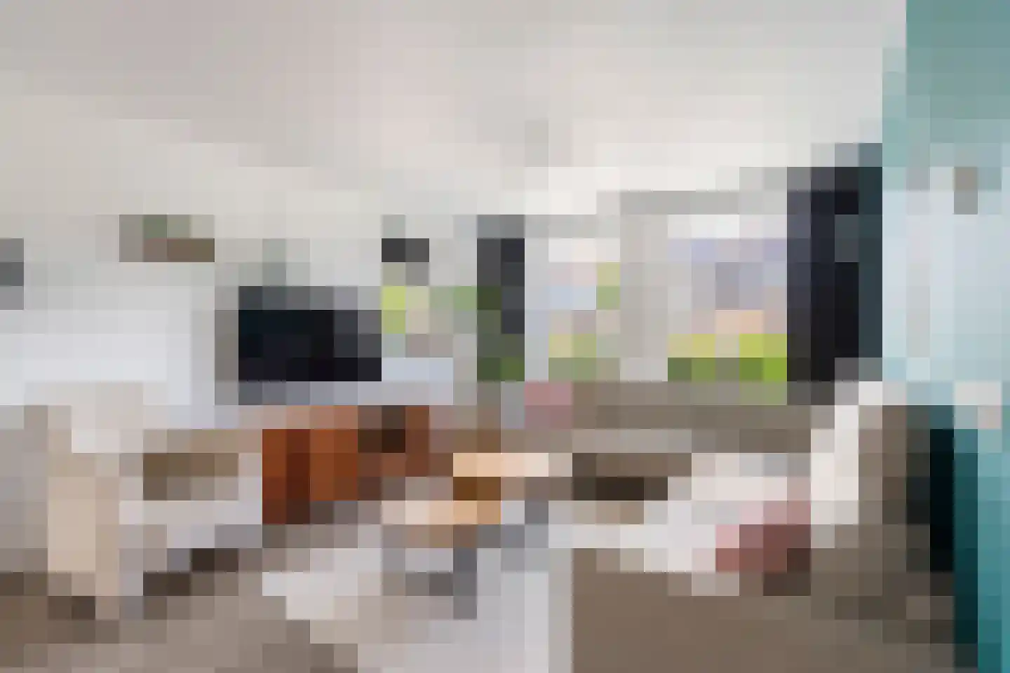 Ruimtevaartstraat 34 D Dirkshorn thumbnail 4