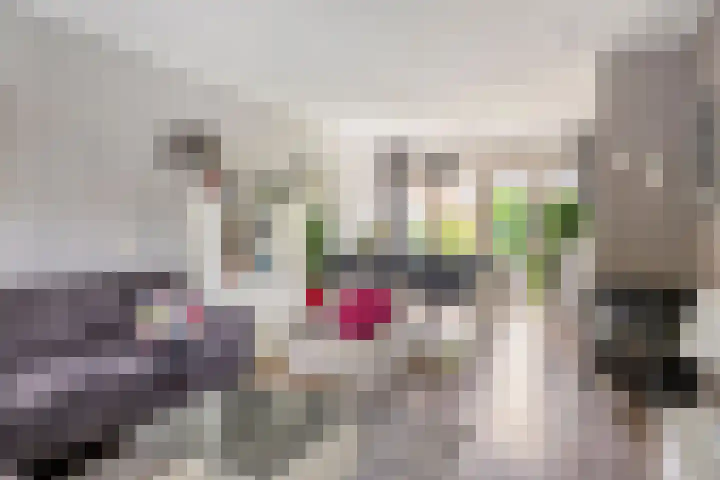 Ruimtevaartstraat 4 Dirkshorn thumbnail 4