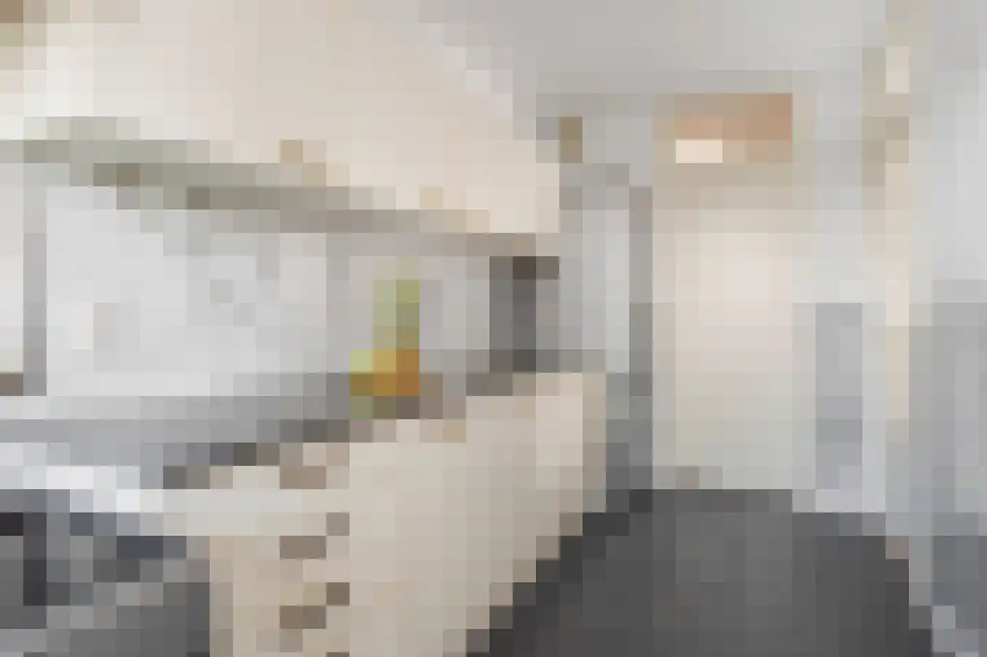 Ruimzicht 110 Amsterdam thumbnail 13