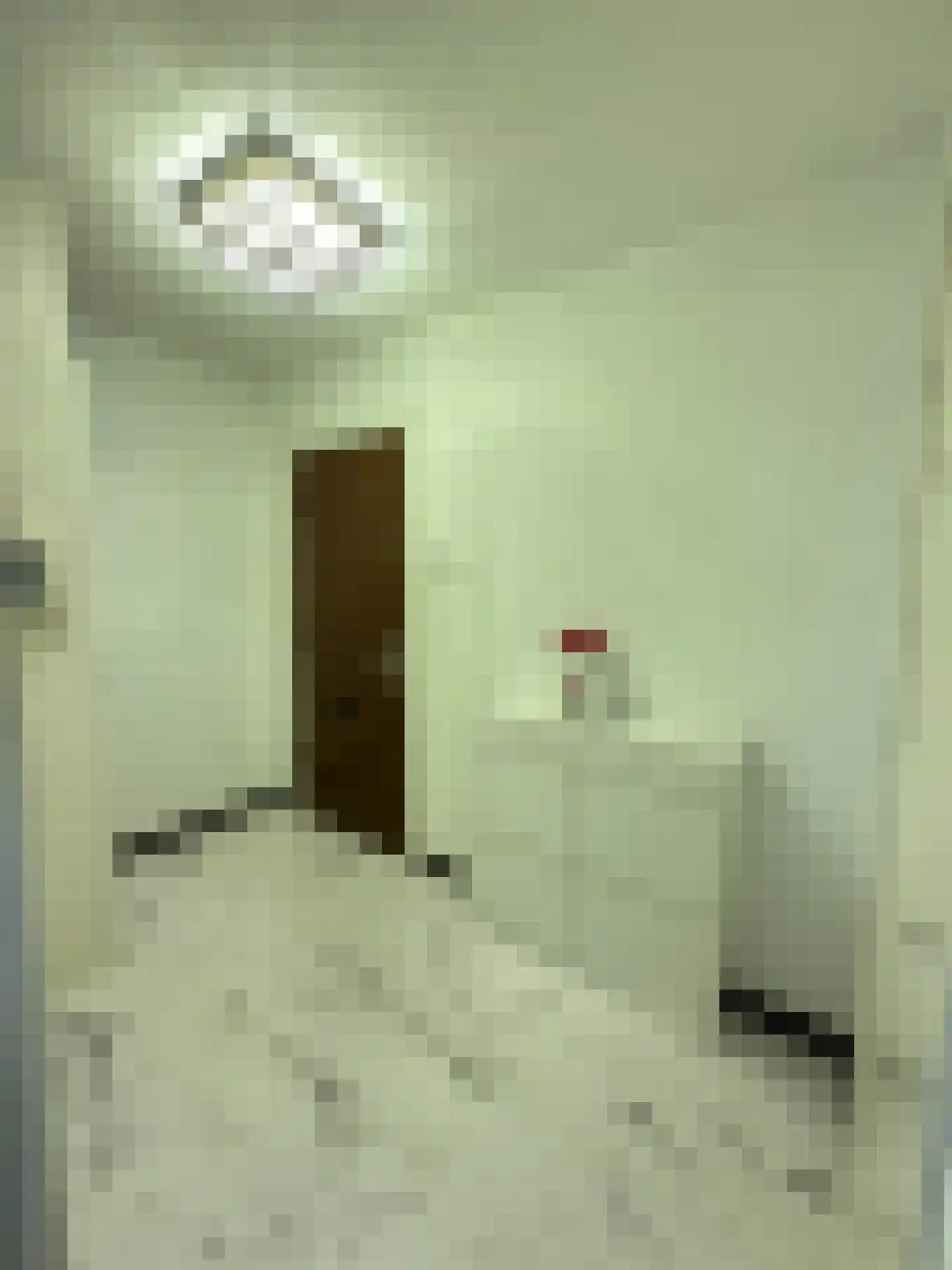 Ruimzicht 110 Amsterdam thumbnail 30
