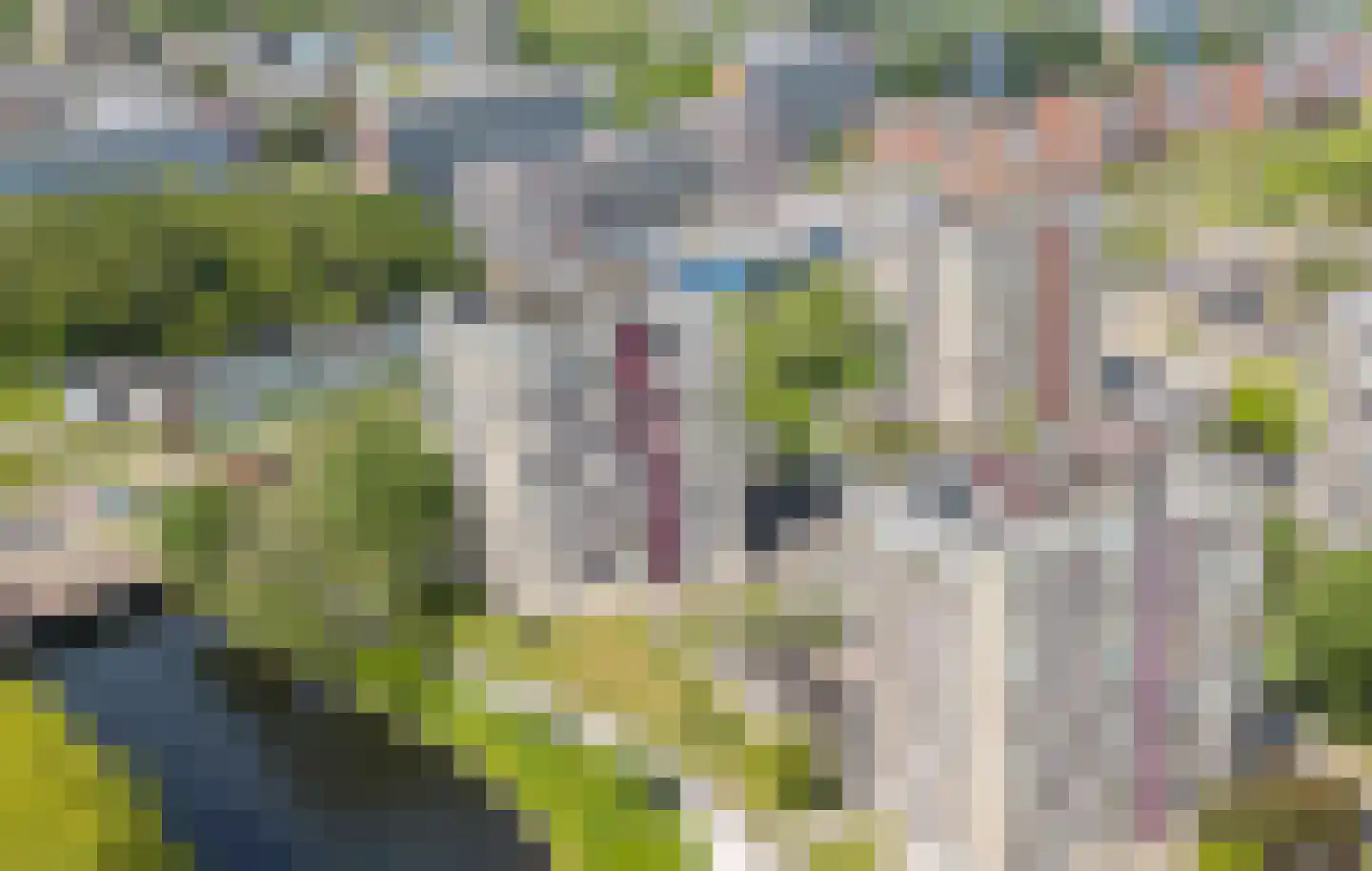 Ruimzicht 110 Amsterdam thumbnail 40