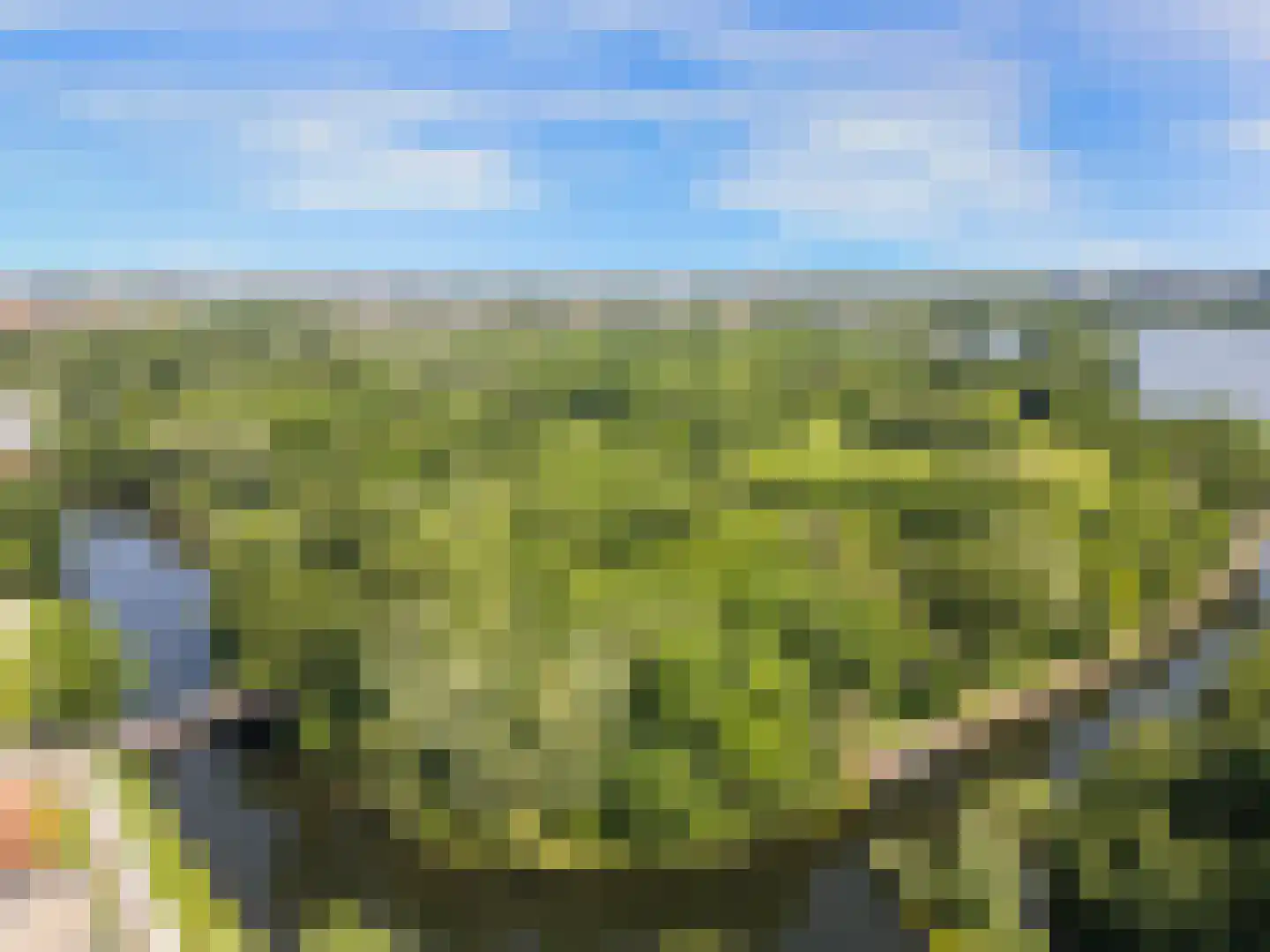 Ruimzicht 110 Amsterdam thumbnail 42