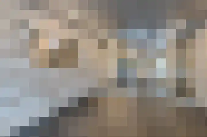 Ruimzicht 111 Amsterdam thumbnail 26