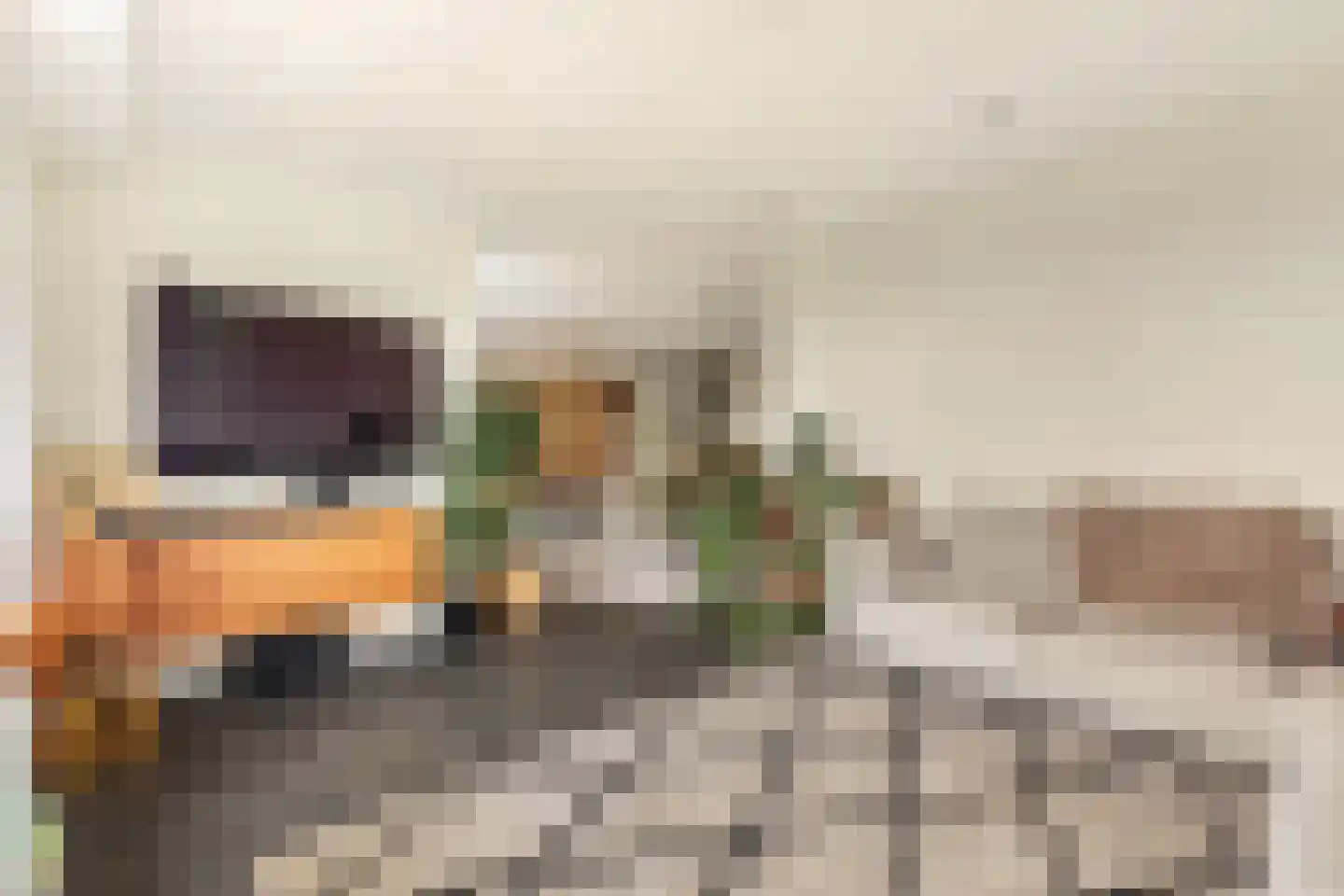 Ruimzicht 123 Amsterdam thumbnail 12