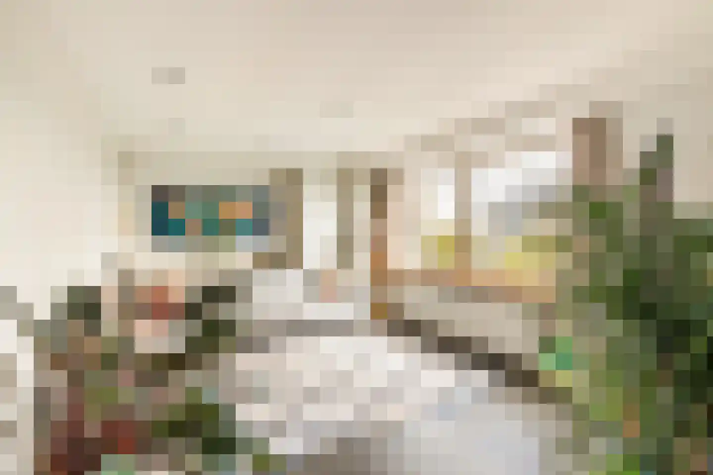 Ruimzicht 123 Amsterdam thumbnail 15