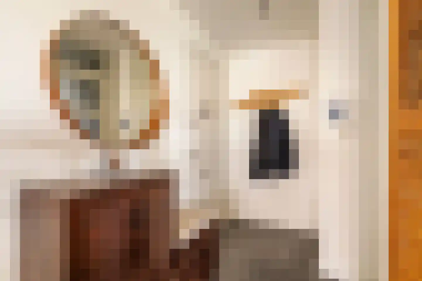 Ruimzicht 123 Amsterdam thumbnail 16