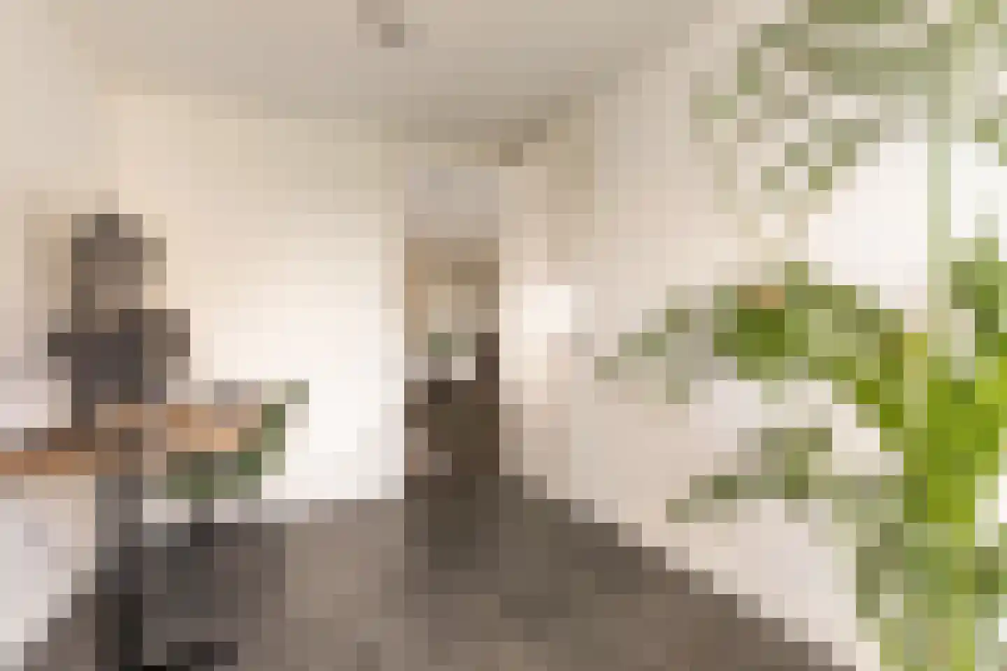 Ruimzicht 123 Amsterdam thumbnail 18