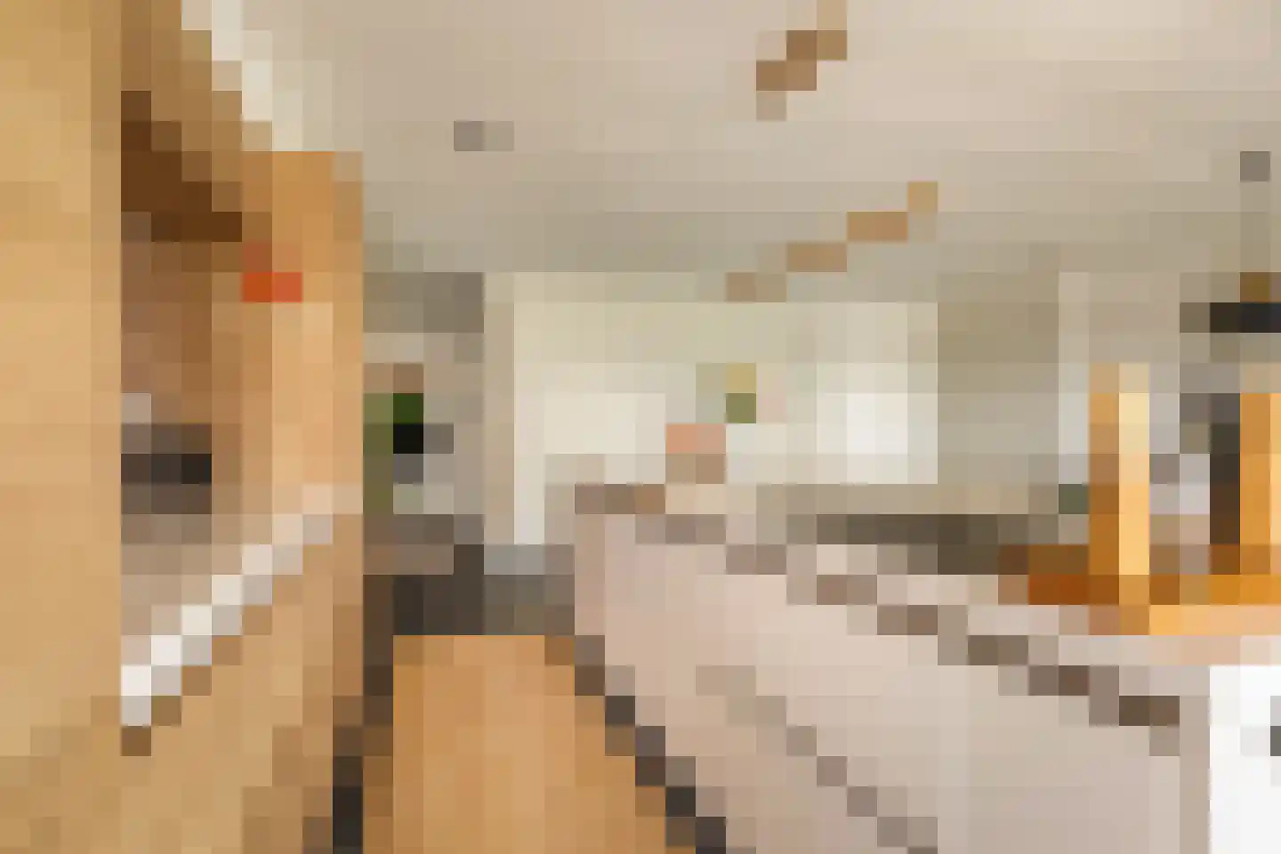 Ruimzicht 123 Amsterdam thumbnail 7