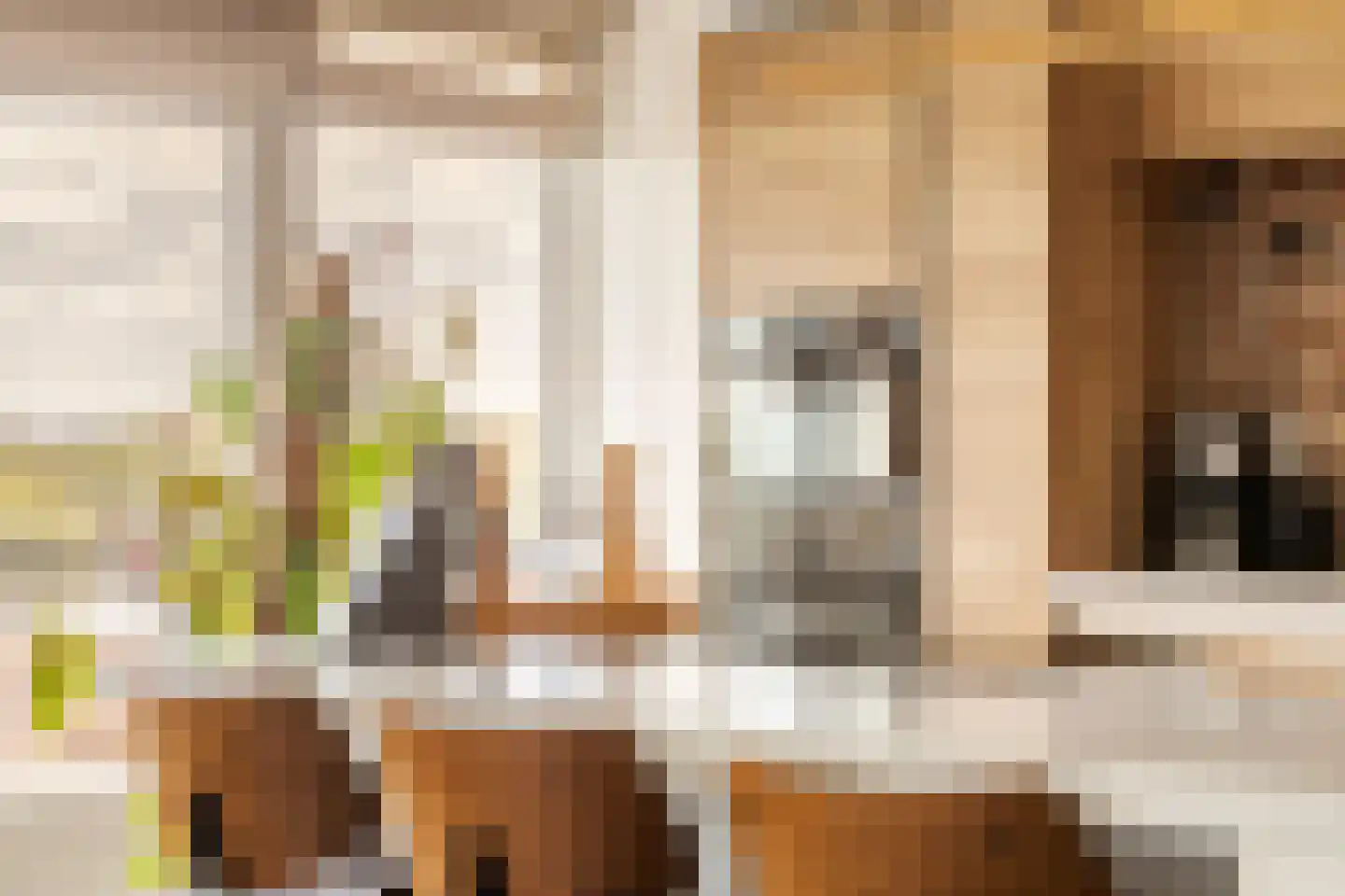 Ruimzicht 123 Amsterdam thumbnail 8
