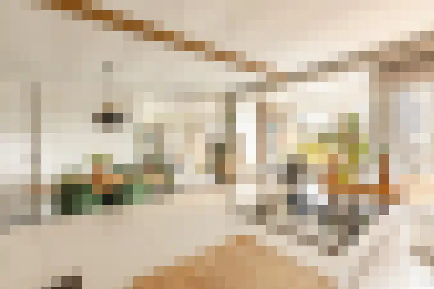 Ruimzicht 123 Amsterdam thumbnail 9