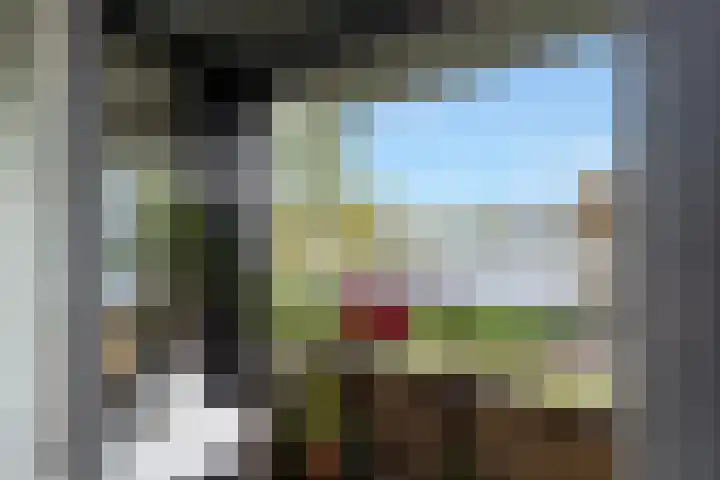 Ruimzicht 181 Amsterdam thumbnail 15