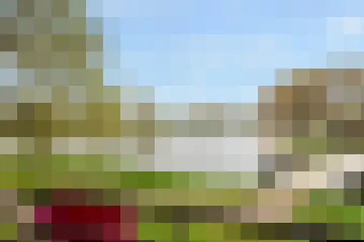 Ruimzicht 181 Amsterdam thumbnail 16
