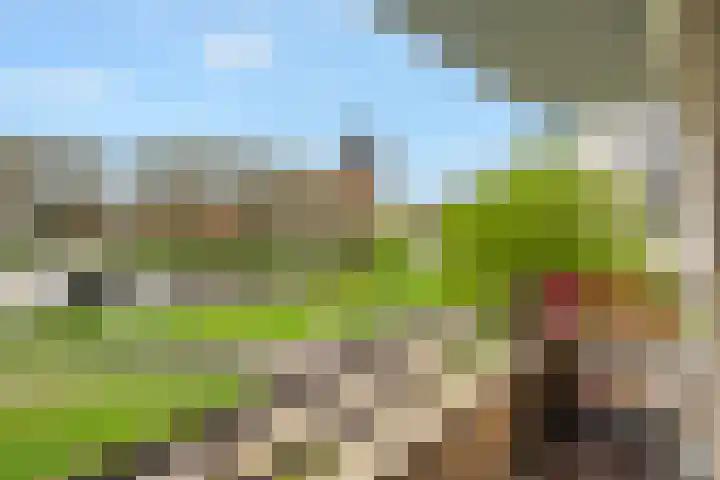 Ruimzicht 181 Amsterdam thumbnail 17