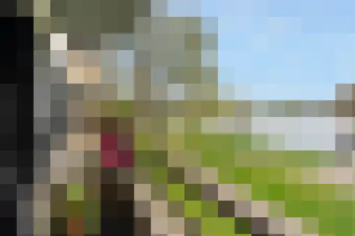 Ruimzicht 181 Amsterdam thumbnail 18