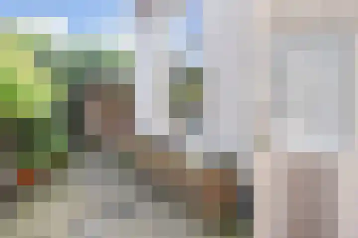 Ruimzicht 181 Amsterdam thumbnail 33